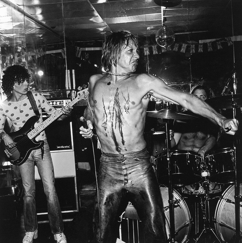 The Stooges Cover