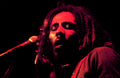 BOB MARLEY – 1979