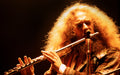 JETHRO TULL - IAN ANDERSON - 1974